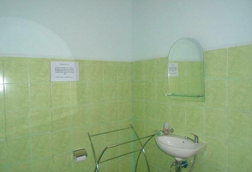 Номер Стандарт, Green Prundi