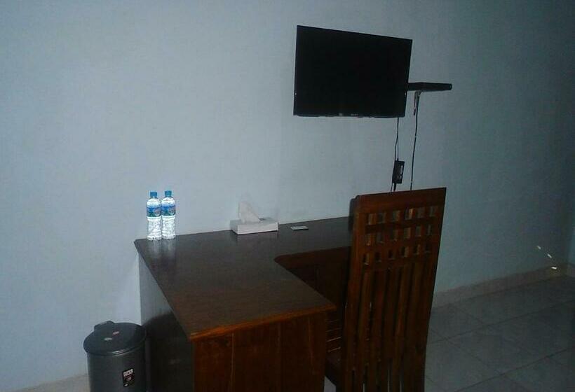 Номер Стандарт, Green Prundi