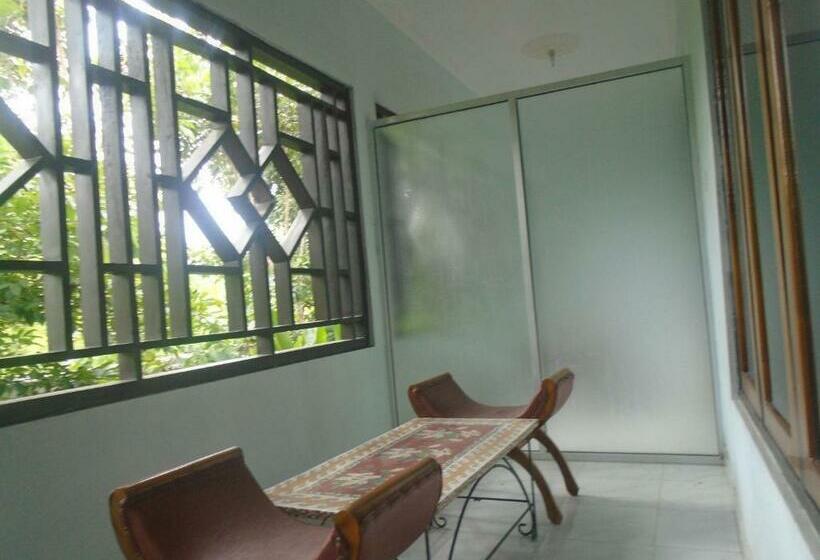 Номер Стандарт, Green Prundi