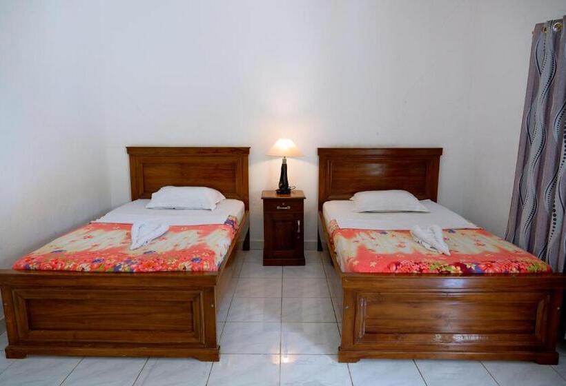 Номер Стандарт, Green Prundi