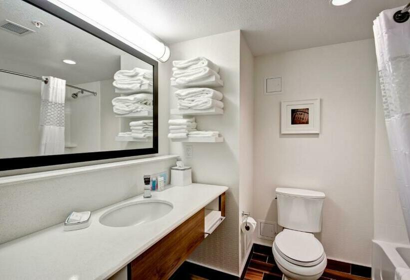 Номер Стандарт Кровать Кинг Адаптированный для Инвалидов, Hampton Inn & Suites By Hilton Medicine Hat