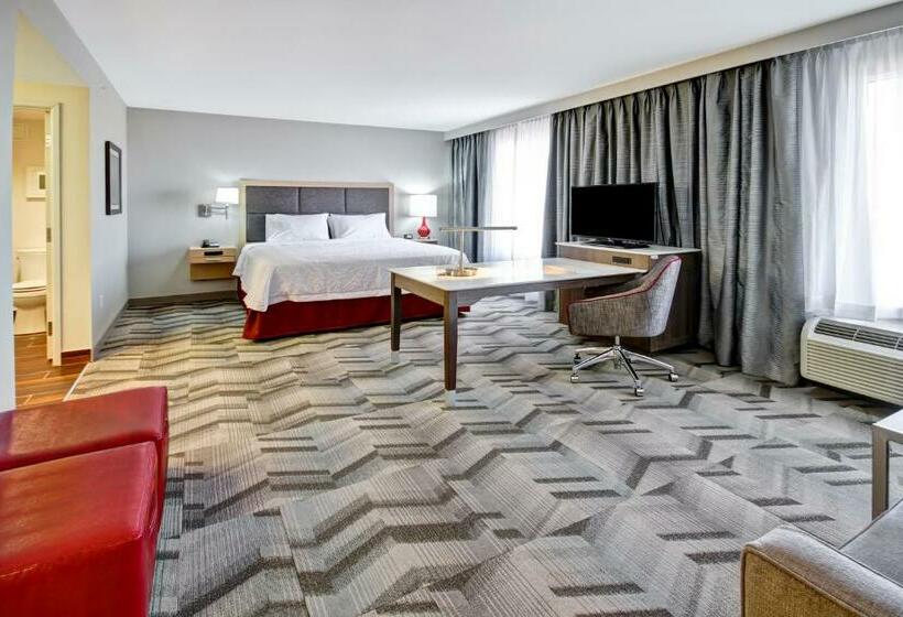 חדר דלוקס עם מיטת קינג, Hampton Inn & Suites By Hilton Medicine Hat