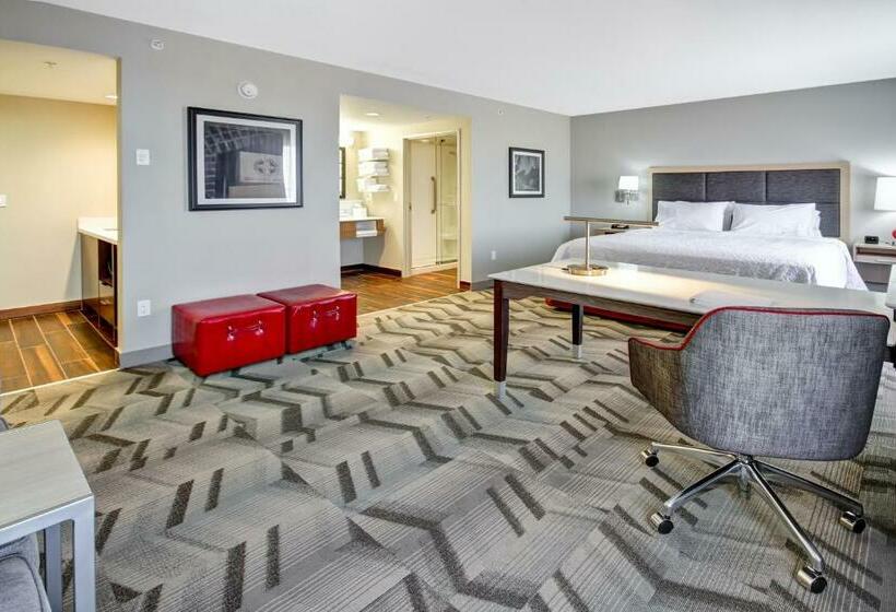 חדר דלוקס עם מיטת קינג, Hampton Inn & Suites By Hilton Medicine Hat