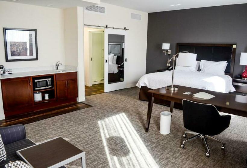 استودیو استاندارد با تخت کینگ, Hampton Inn & Suites Richmond Downtown