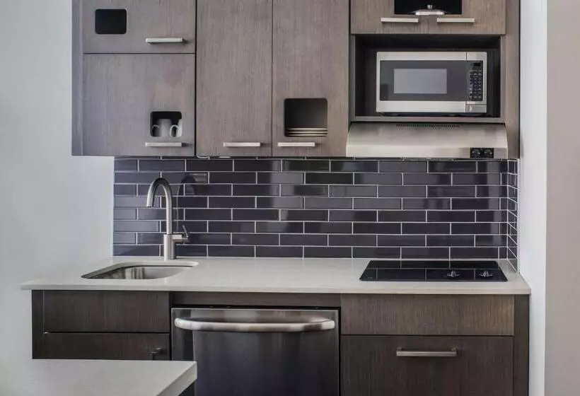 Sviitti Liikuntarajoitteisille, Hyatt House New York/chelsea