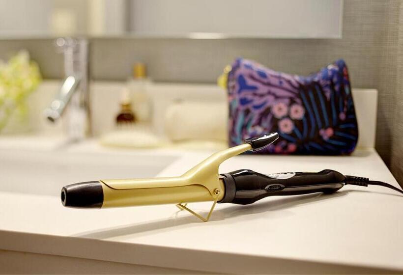 סוויטה מותאמת לאדם עם מוגבלויות, Hyatt House New York/chelsea