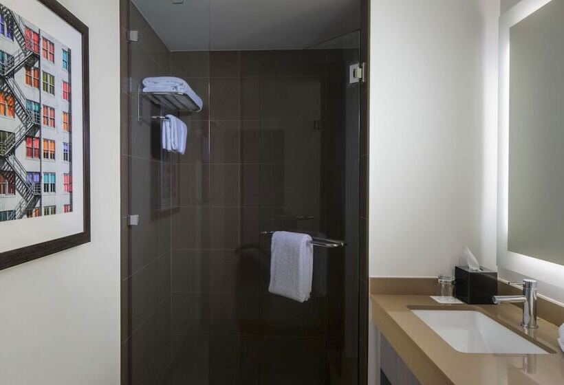 סוויטה, Hyatt House New York/chelsea