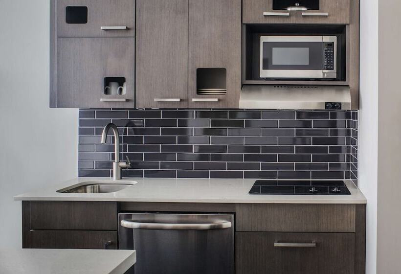 סוויטה מותאמת לאדם עם מוגבלויות, Hyatt House New York/chelsea