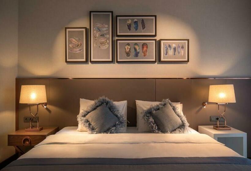 Superior Værelse, Lionel Hotel Istanbul