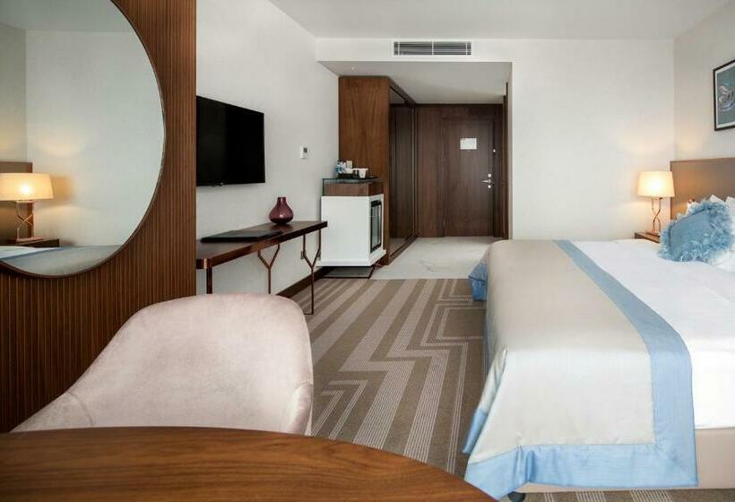 Superior Værelse, Lionel Hotel Istanbul