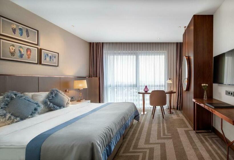 غرفة سوبيريور, Lionel Hotel Istanbul