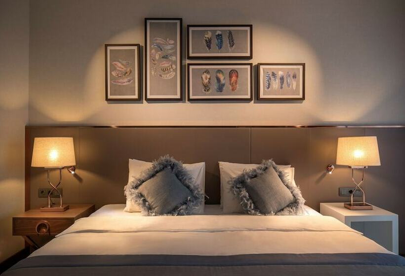 Superior Værelse, Lionel Hotel Istanbul