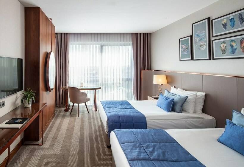 Superior Værelse, Lionel Hotel Istanbul