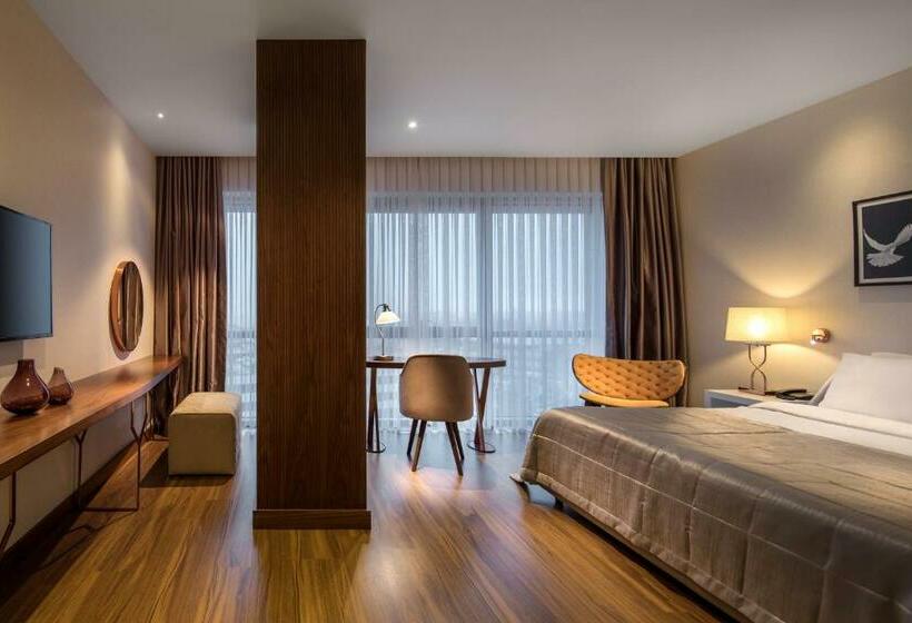 غرفة إدارية سرير كينج, Lionel Hotel Istanbul