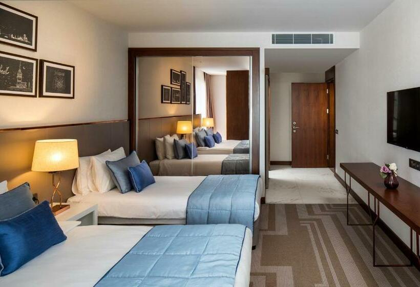 Deluxe Værelse, Lionel Hotel Istanbul