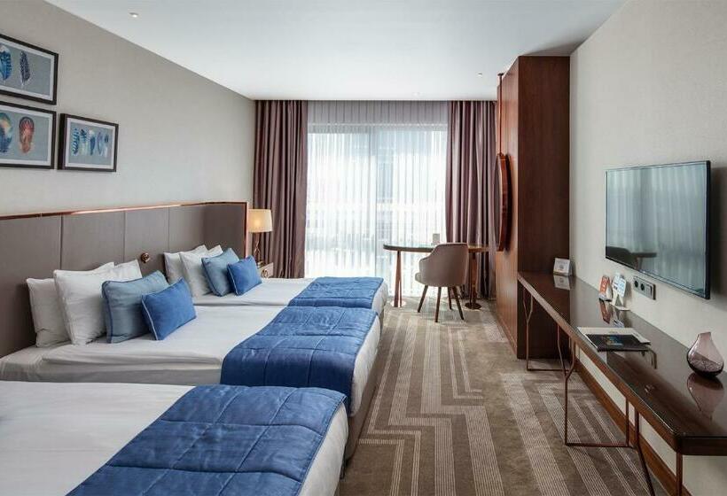 Deluxe Værelse, Lionel Hotel Istanbul