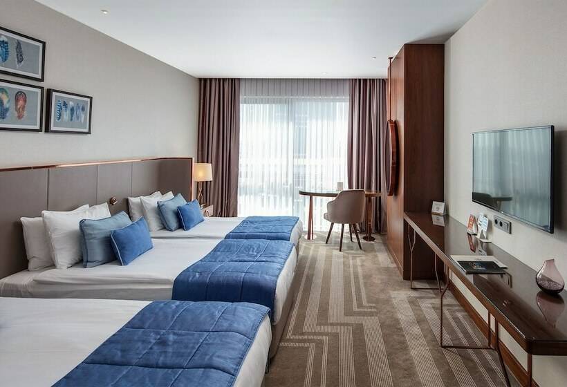 Deluxe Værelse, Lionel Hotel Istanbul