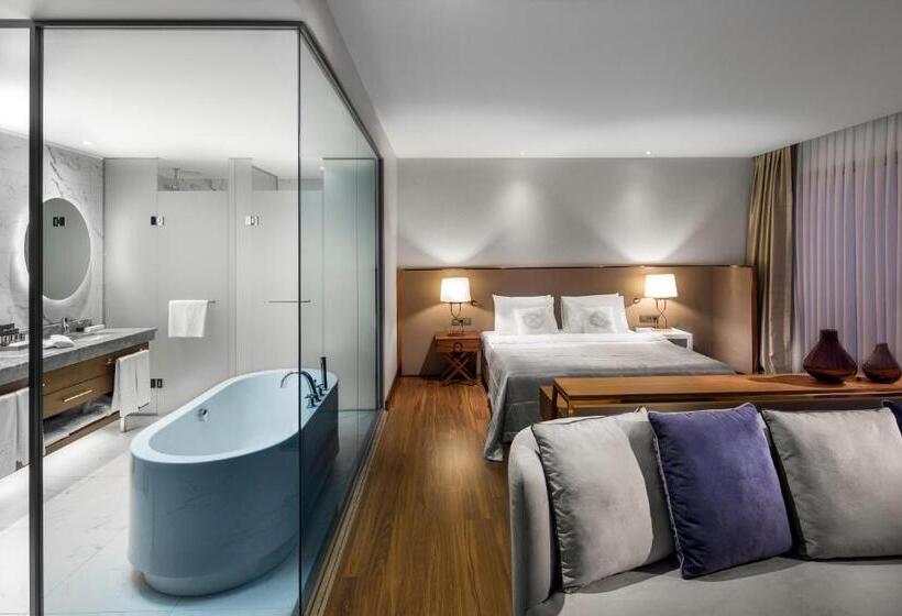 Suite m. Udsigt, Lionel Hotel Istanbul