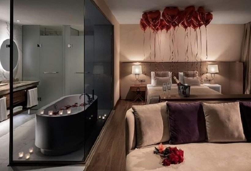 جناح ذو إطلالة, Lionel Hotel Istanbul