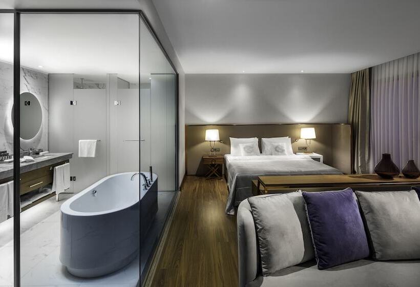 Suite m. Udsigt, Lionel Hotel Istanbul