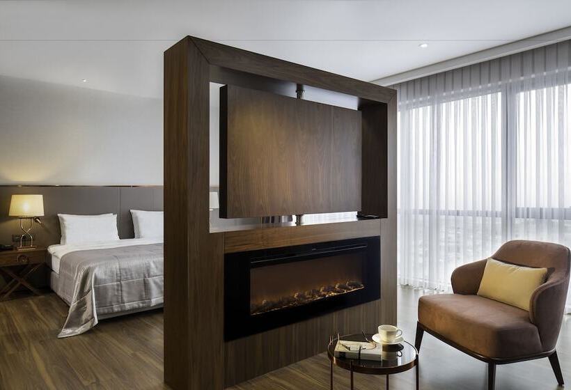 Junior Suite m. Udsigt, Lionel Hotel Istanbul