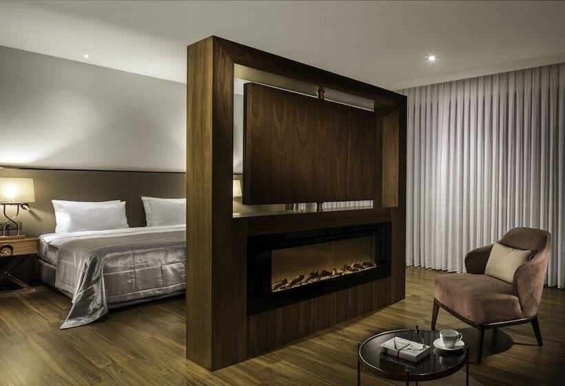جناح جونيور ذات إطلالة, Lionel Hotel Istanbul
