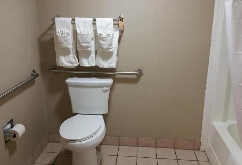 اتاق استاندارد با تخت بزرگ برای معلولان, Pearl On The Concho Surestay Collection By Best Western