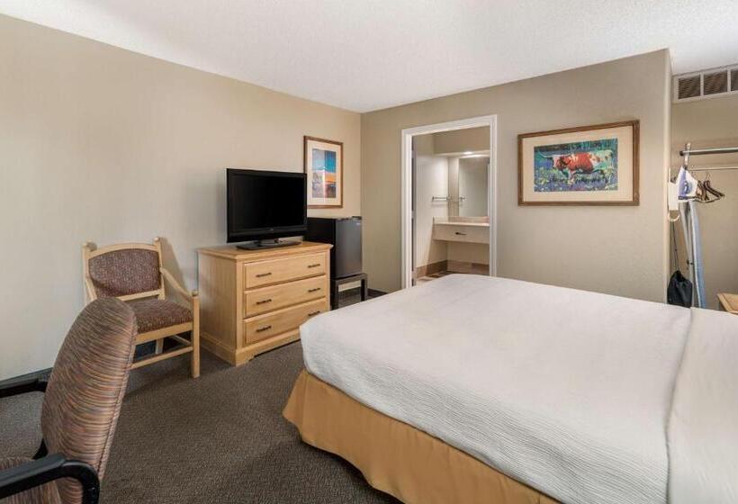 اتاق استاندارد با تخت بزرگ برای معلولان, Pearl On The Concho Surestay Collection By Best Western