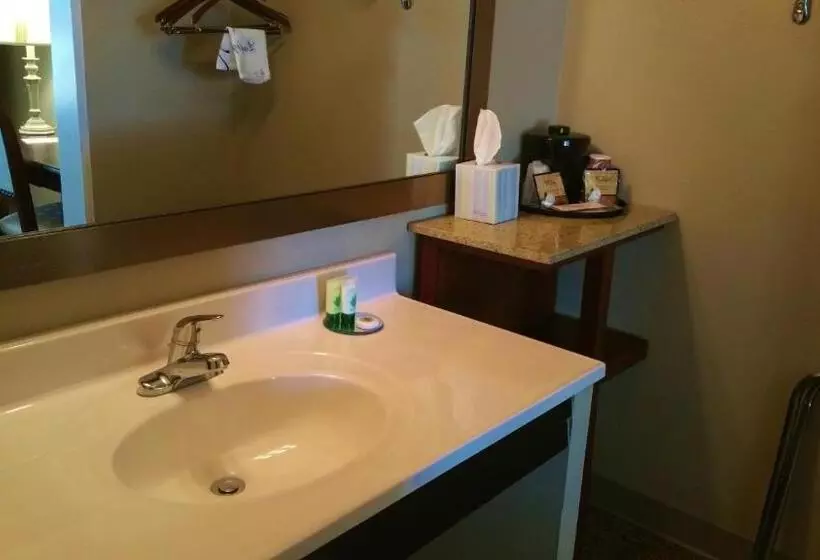 ２ダブルベッドのスタンダードルーム, Pearl On The Concho Surestay Collection By Best Western