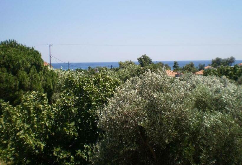 オーシャンビューのスーペリアー１ベッドルームアパートメント, So Nice