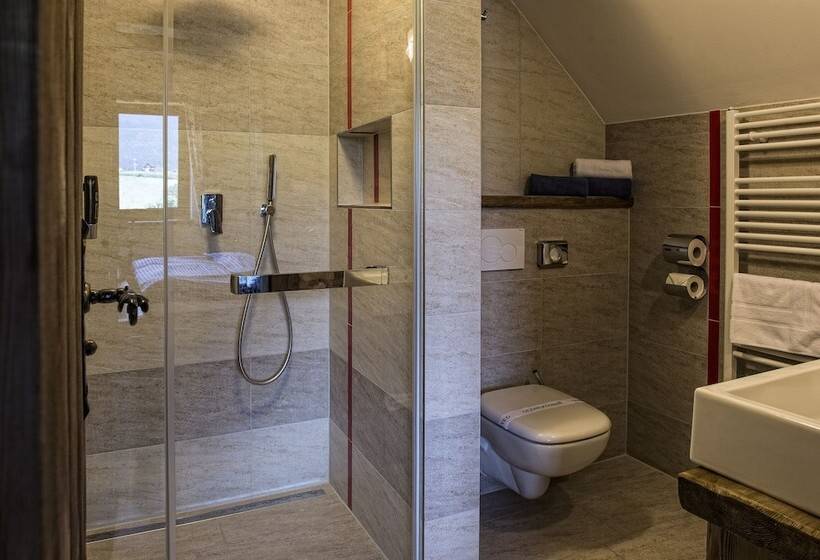 اتاق استاندارد, Wellness Penzion Strachan