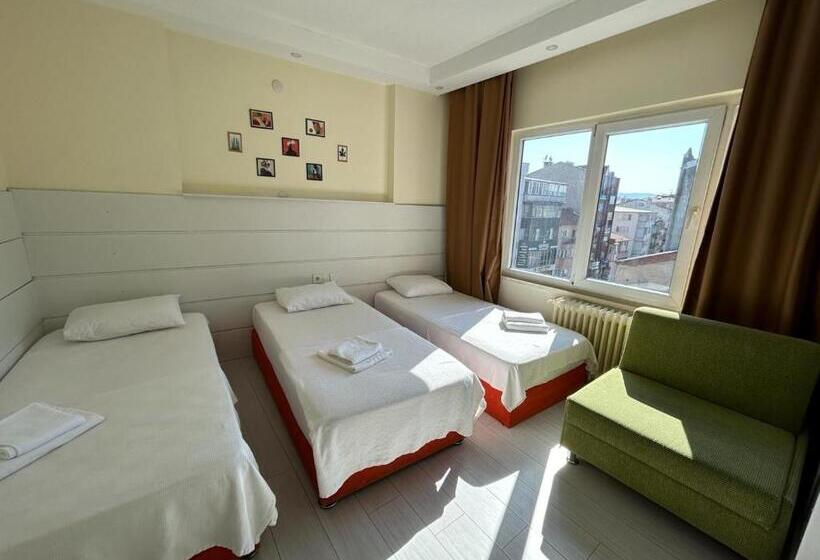 اتاق استاندارد سه نفره, Naval Hotel Yalova