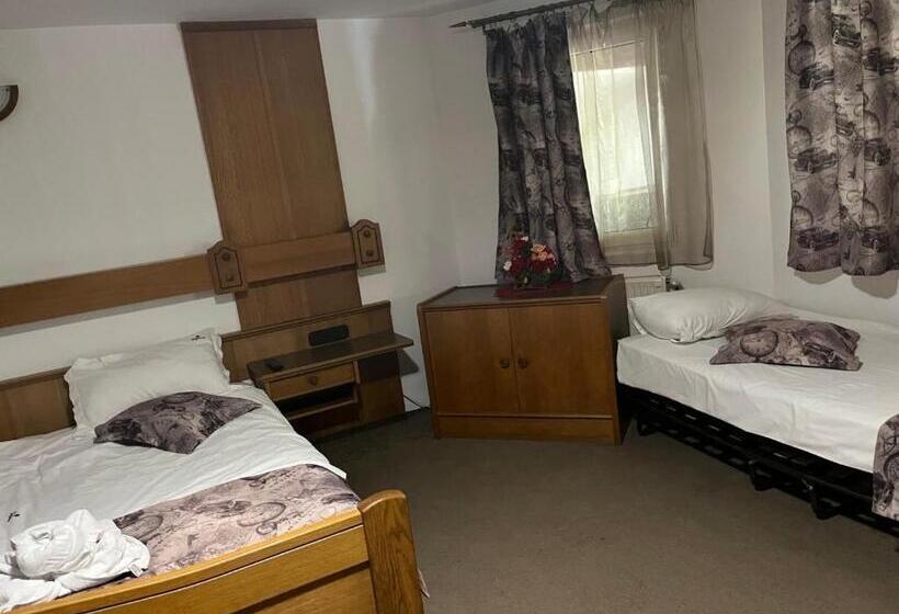 غرفة قياسية ثلاثية, Pensiunea Yajima