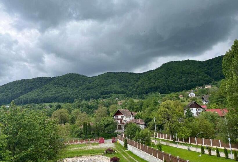 غرفة ديلوكس مزودة بشرفة, Pensiunea Yajima