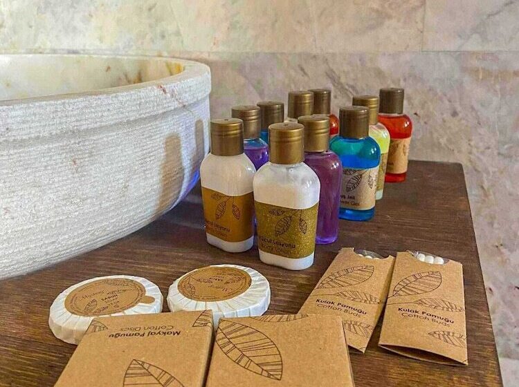 اتاق استاندارد, Cordial Cappadocia