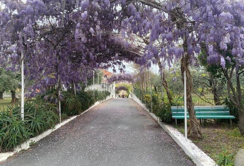 إستوديو قياسى ذو إطلالة, Al Borgo Village