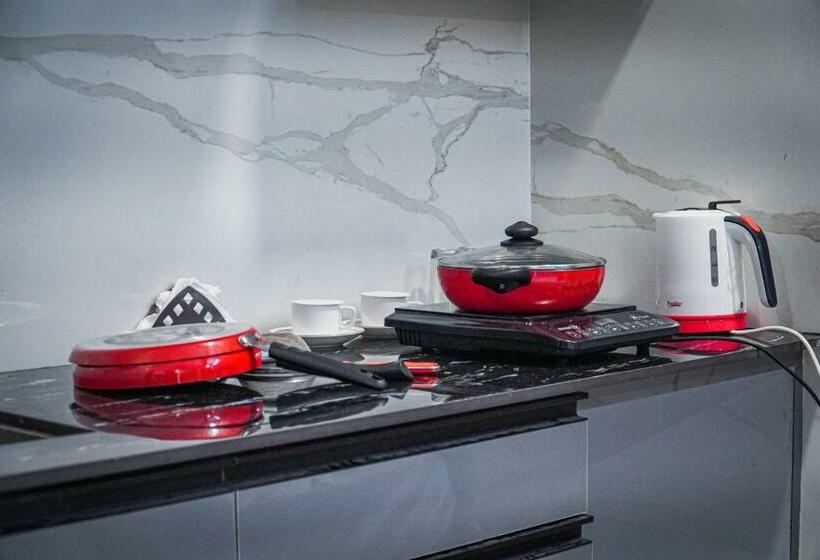 اتاق استاندارد با بالکن, The Leaf Studio Medanta