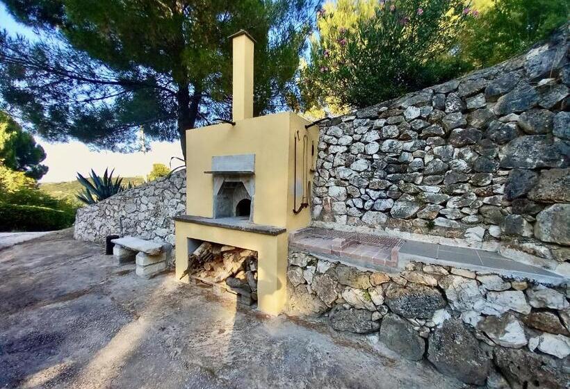 آپارتمان 1 خوابه با بالکن, Villa Amica