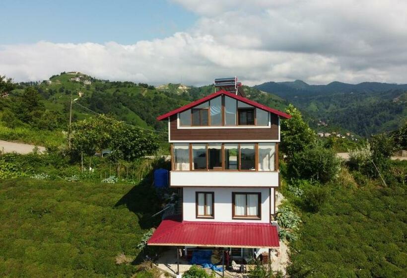 آپارتمان 1 خوابه با چشمانداز دریا, Bulepe Sui̇t Apart