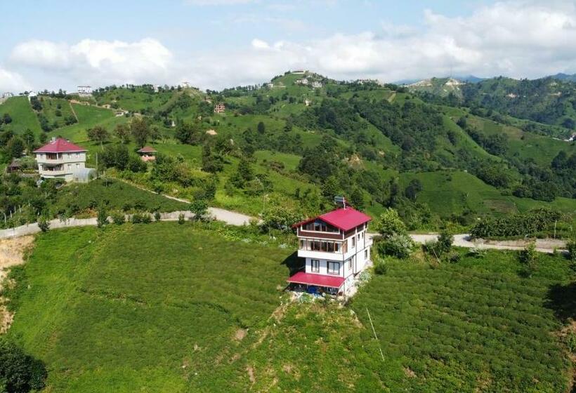 آپارتمان 1 خوابه با چشم‌انداز دریا, Bulepe Sui̇t Apart