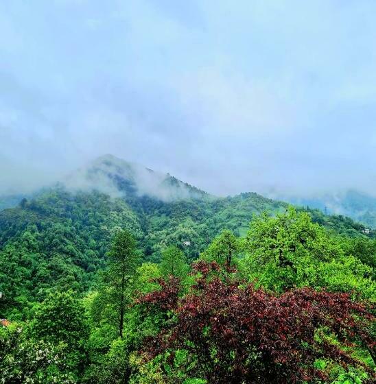 اتاق استاندارد با تخت بزرگ, Old House Korolistavi