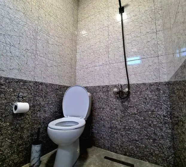اتاق استاندارد, Old House Korolistavi