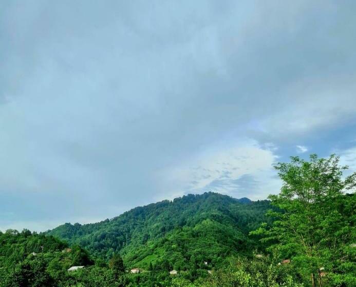 اتاق استاندارد, Old House Korolistavi