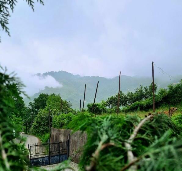 اتاق استاندارد, Old House Korolistavi