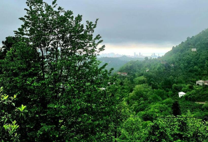 اتاق استاندارد, Old House Korolistavi