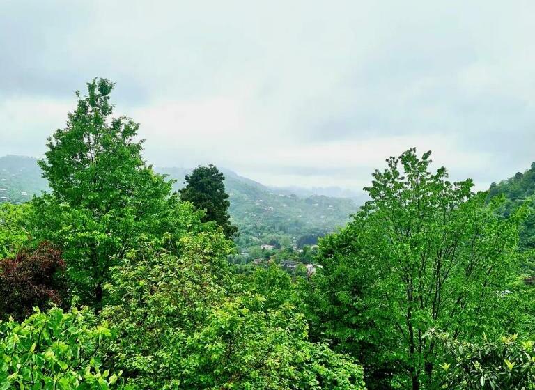 اتاق استاندارد, Old House Korolistavi