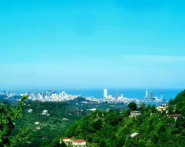 اتاق استاندارد, Old House Korolistavi