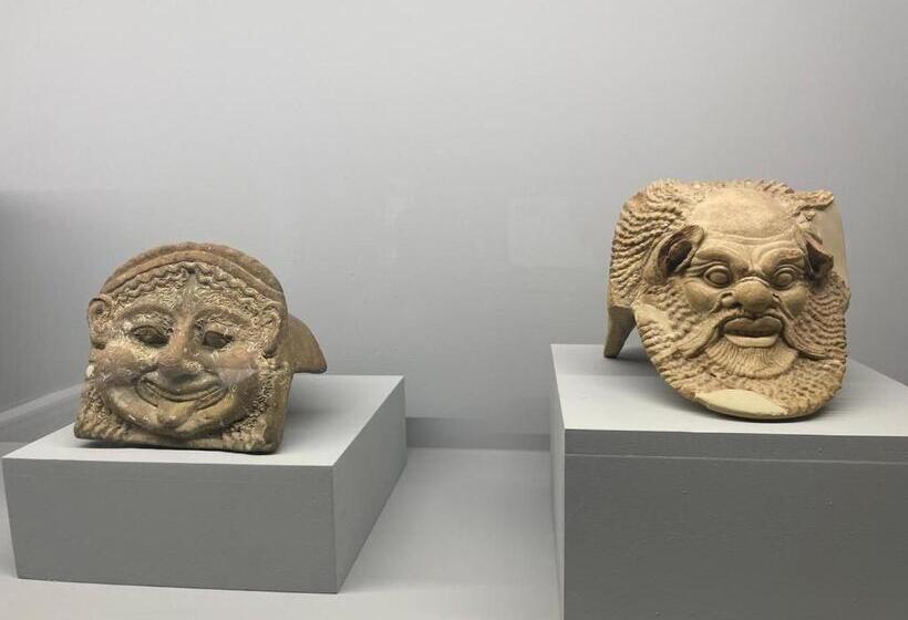 اتاق استاندارد, Il Suono Della Conchiglia