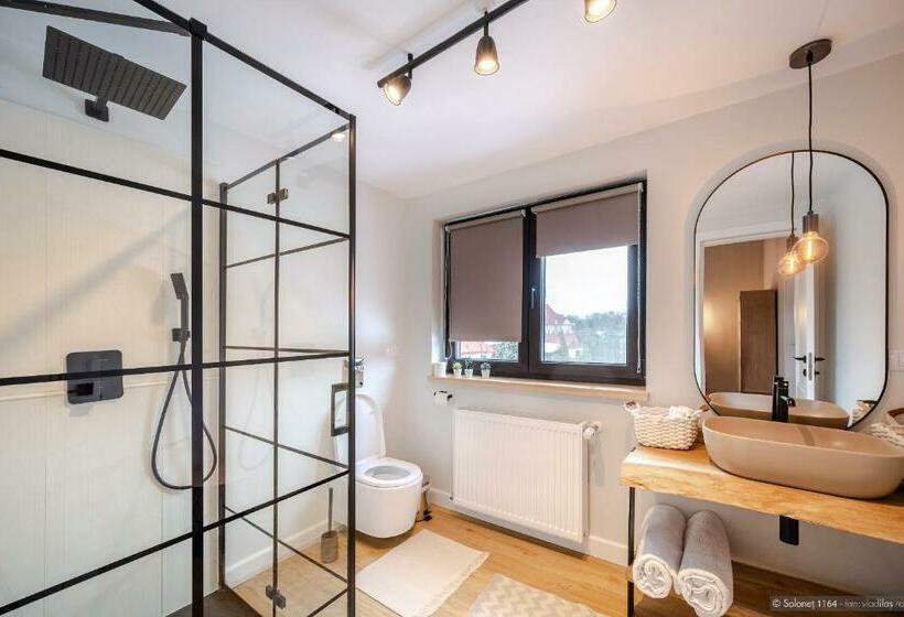 스탠다드 자쿠지 룸, Solonetul Nou 1164