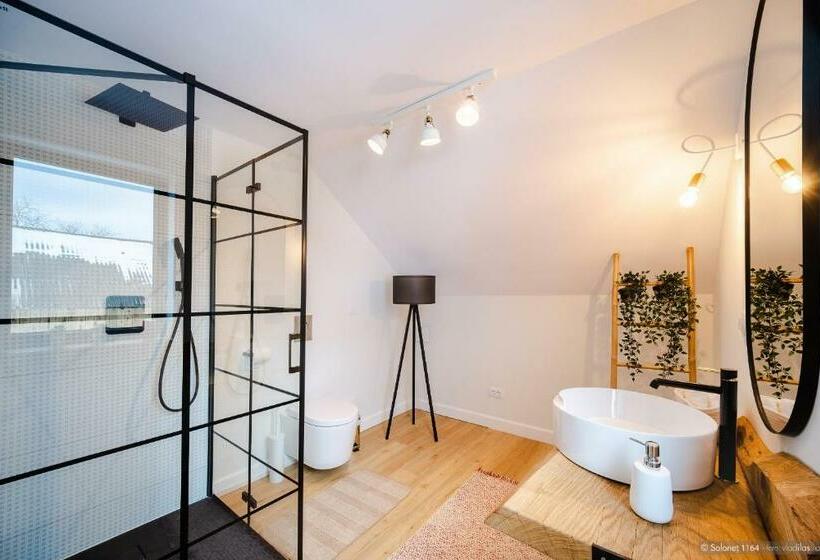 패밀리 룸, Solonetul Nou 1164